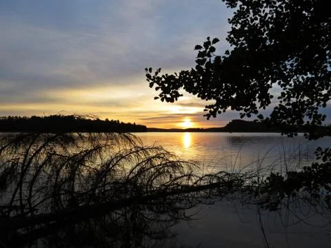 Fallen Tree Reflection in Water During Sunset Over Beautiful Lake with Cloudy Stock Photos
