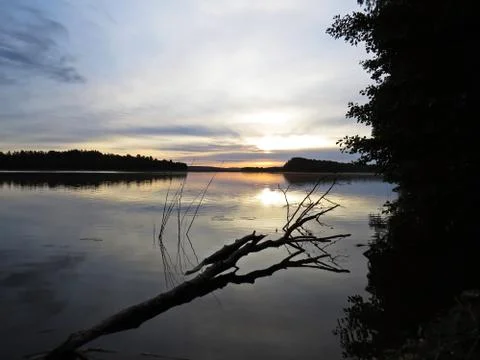 Fallen Tree Reflection in Water During Sunset Over Beautiful Lake with Cloudy Stock Photos