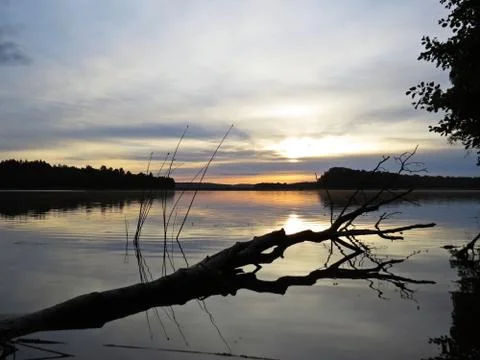 Fallen Tree Reflection in Water During Sunset Over Beautiful Lake with Cloudy Stock Photos
