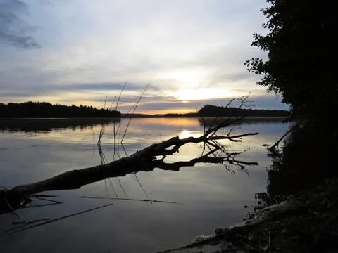 Fallen Tree Reflection in Water During Sunset Over Beautiful Lake with Cloudy Stock Photos