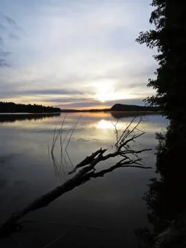 Fallen Tree Reflection in Water During Sunset Over Beautiful Lake with Cloudy Stock Photos