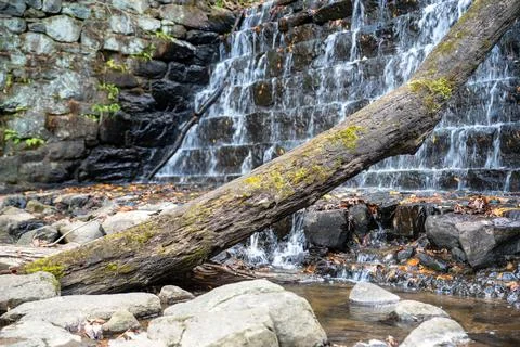 Fallen tree rests against the base of a tiered reservoir waterfall Stock Photos