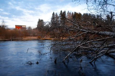 A fallen tree is right in front of a river in a village. Stock Photos