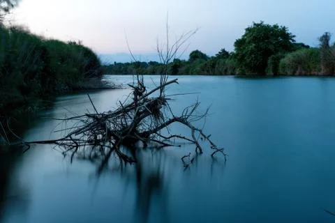 Fallen tree in a river Stock Photos