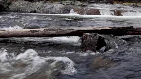 Fallen tree on rocks on waterfall Stock Footage 155984258