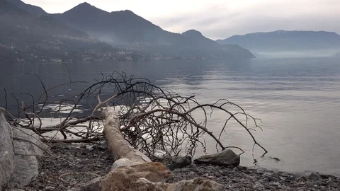 Fallen tree on the shore of the lake between the mist and small waves Stock Footage 107016243