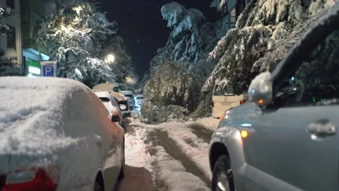 Fallen tree smashing SUV under thick snow, revealing dramatic collision scene of Stock Footage 303523218