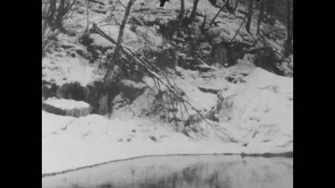 Fallen tree with snow, landscape 8mm bolex d8l Vintage home movie footage river  Vidéo 149821093