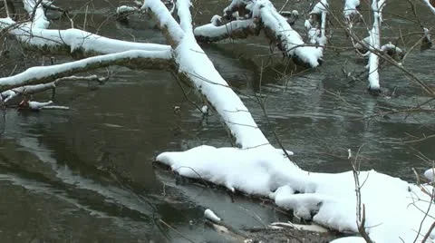 Fallen tree in snowy river Stock Footage 17809805