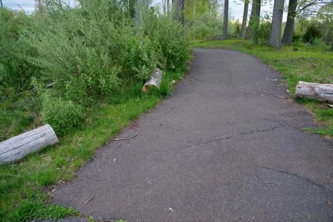A fallen tree split by chainsaw to clear a parks walking trail. Stock Photos