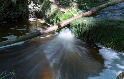 Fallen Tree in Stream Stock Photos