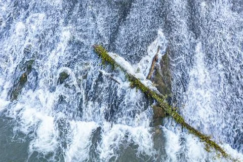 Fallen tree trunk blocking water flow in river rapids, creating whitewater . Stock Photos