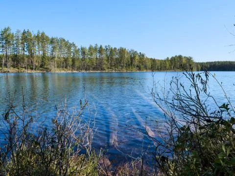 Fallen tree trunks in the water Stock Photos