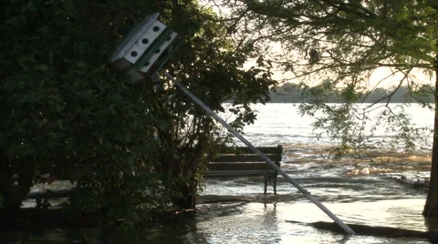 Fallen treehouse 스톡 동영상 4958747