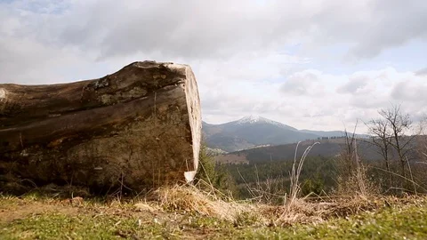 Fallen trees on a background of mountains. The tops are covered with snow, early 動画素材 77007229