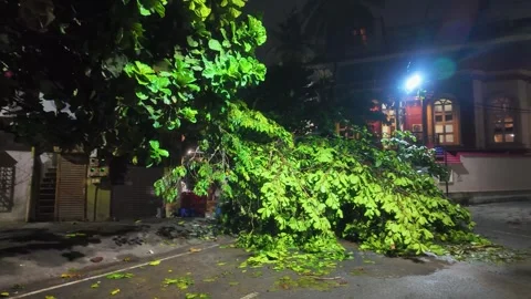 Fallen Trees Blocking Urban Road After Heavy Rain and Strong Winds Stock-Footage 333958967