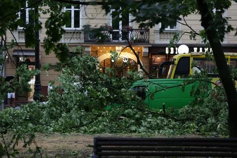 Fallen trees, element, after disaster, aftermath storm, natural reportage street Stock Photos