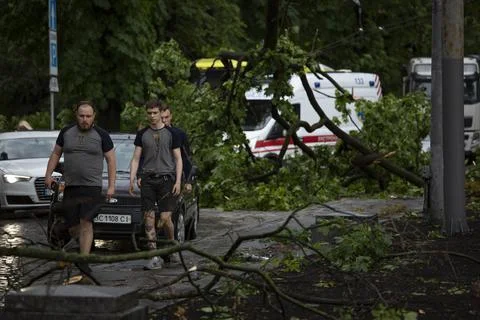 Fallen trees, element, after disaster, aftermath storm, reportage, traffic jam Stock Photos