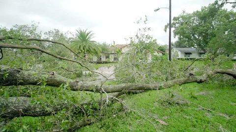 Fallen trees from Hurricane Irma being cut away Stock Footage 80361265