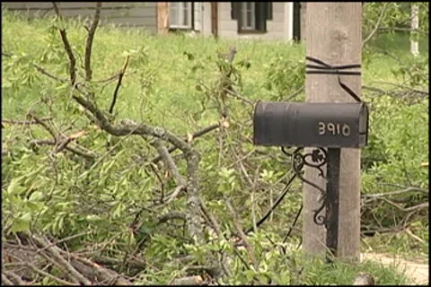 Fallen trees near mailbox Stock Footage 7812935