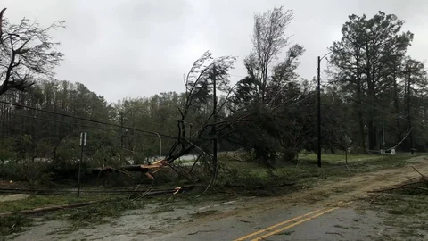 Fallen trees in North Carolina during Hurricane Florence Vidéo 96048799
