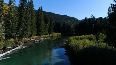 Fallen Trees On River Banks Stock Footage 120870596