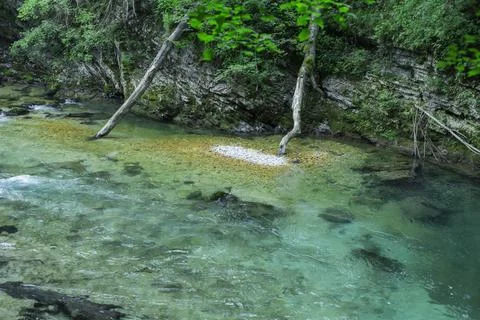 Fallen trees in the river Stock-Fotos