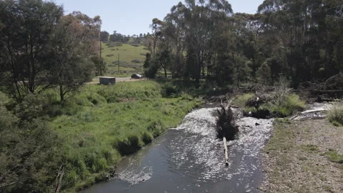 Fallen Trees in Waterway Stock Footage 252950956