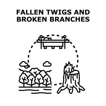 Fallen twigs and broken branches vector concept Stock Illustration