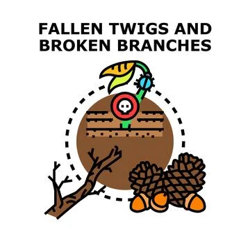 Fallen twigs broken branches and forest floor elements Illustrazione stock