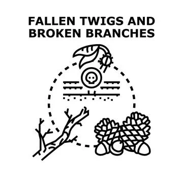 Fallen twigs broken branches and forest floor elements Stockillustratie