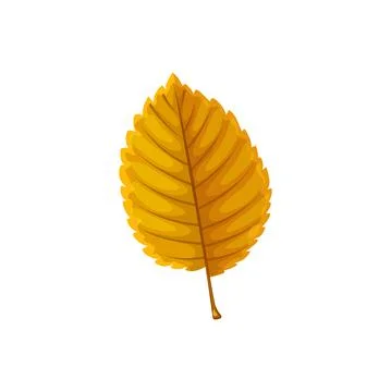 Fallen ulmus tree leaf of brown color vector icon Stock Illustration