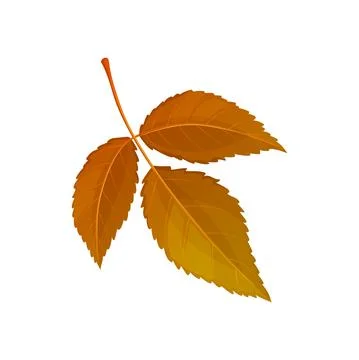 Fallen ulmus tree leaf of brown color vector icon Illustrazione stock
