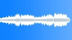 Fallen WarriorStock Music