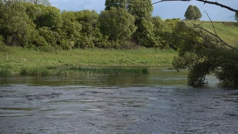 Fallen willow in the river across the stream. River Don headwaters, Russia Stock-Footage 124668519