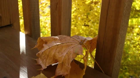 Fallen Yellow Autumn leaves flutter on the edge of a wooden balcony railing Video stock 143042250