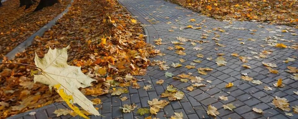 Fallen yellow maple leaf on a stone path in autumn Stock-Fotos
