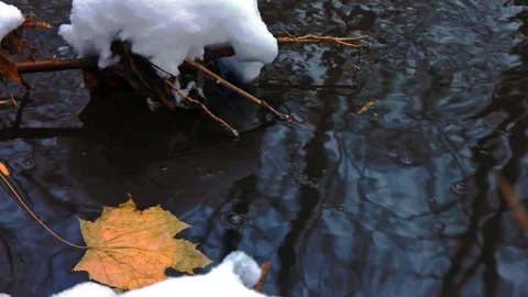 A fallen yellow maple leaf in a stream and the first snow on the shore Stock Footage 98949485