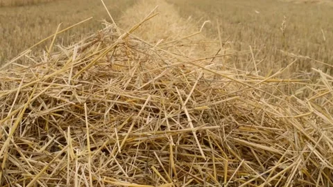 Fallender Strohhalm Video stock 135507309