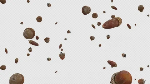 Falling Acorns Loop Animation Overlay for Autumn and Nature Edits Stock Footage 340916907