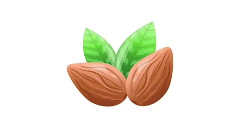 Falling Almond Stock Footage 171686819