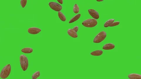 Falling Almonds Animation on Green Screen Background Stock Footage 336706689
