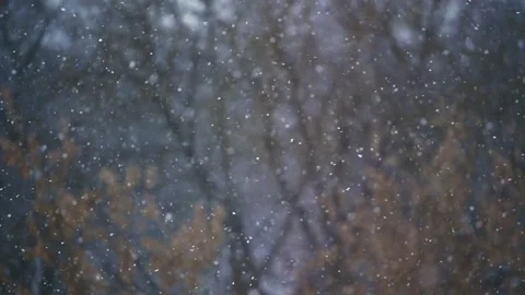 Falling and flying snow Stock Footage 167513018