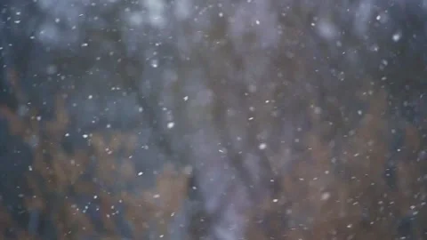 Falling and flying snow Stock Footage 167513022