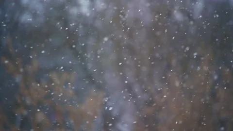 Falling and Flying Snow in Slow Motion Stock Footage 167513048