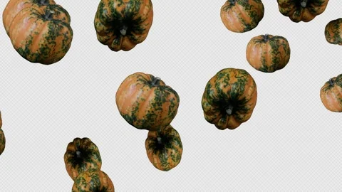 Falling and rotating pumpkins on transparent background Stock-Footage 319066265