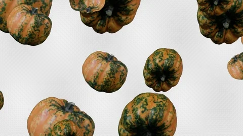 Falling and rotating pumpkins on transparent background Stock-Footage 319066277