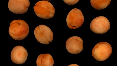 Falling Apricots on Black Background (Looping) Stock Footage 92932247