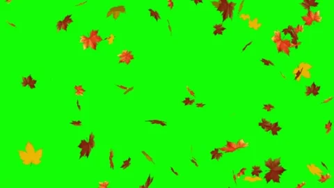 Falling, autumn animations green screen Stock Footage 202899612
