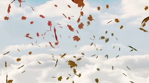 Falling autumn leaf against sky backgrou... | Stock Video | Pond5